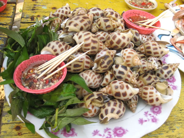 ochuongcualo