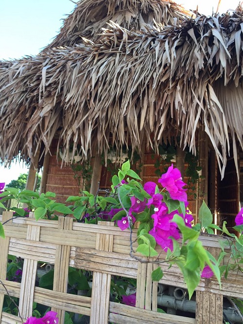 ngoctichhomestaycualo8