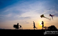 Đẹp ngỡ ngàng bờ đê quê Nghệ