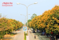 Có một Tây Nam bộ ở phố biển Cửa Lò
