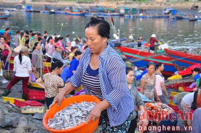 Cửa Lò: Nhộn nhịp bến cá lúc bình minh